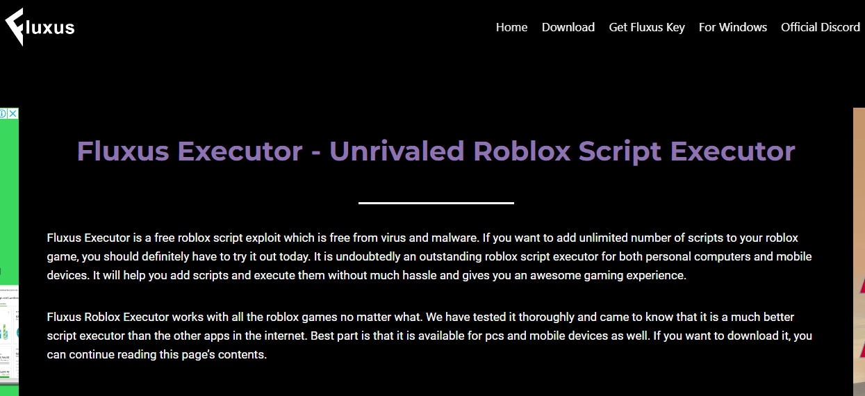 10 Best Roblox Executor - Master Roblox Scripting in 2025