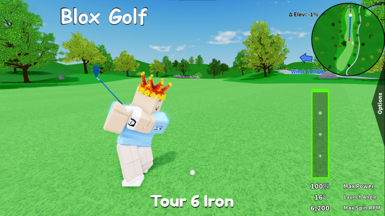 Realistic Golf Wiki